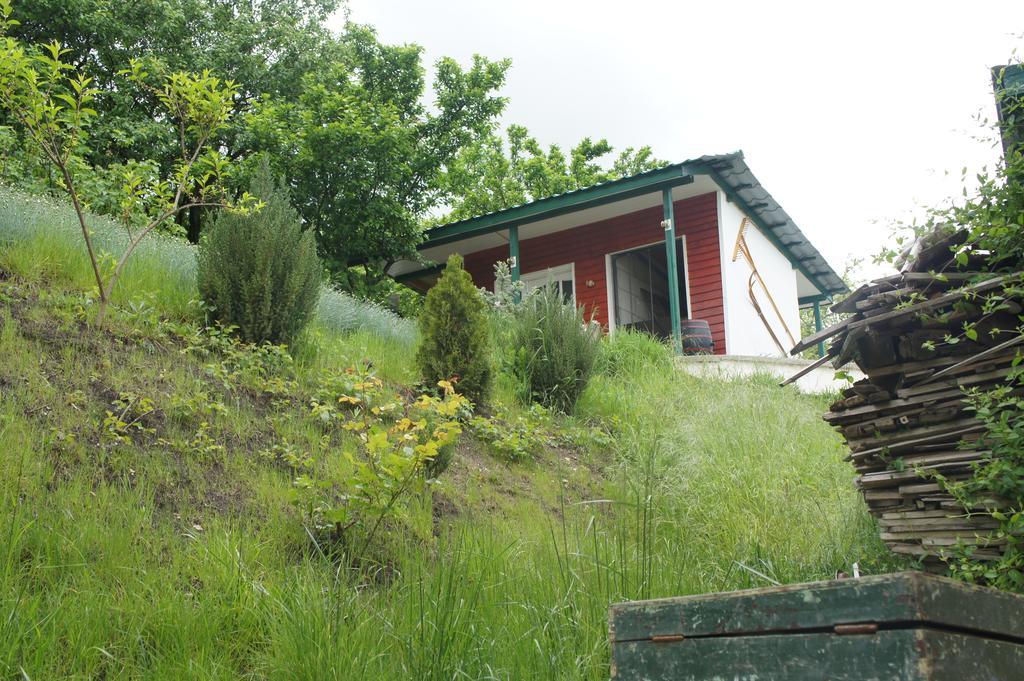 ホテル Casa Bella トゥルダ エクステリア 写真